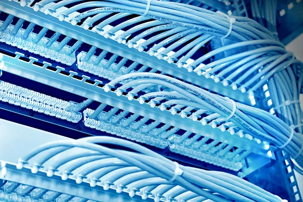 Control cabinet with patch panel of the 6th category, blue tone — Stock Image Control cabinet with patch panel of the 6th category, blue tone Royalty Free Stock Photos