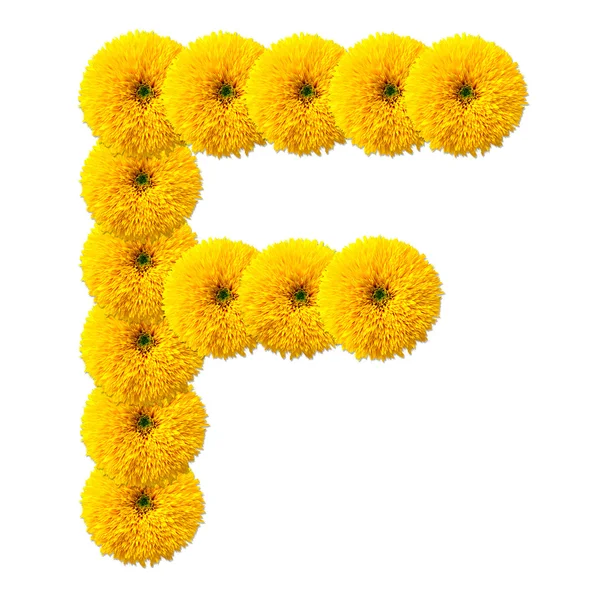 Buchstabe des Alphabets der Blumen — Stockfoto