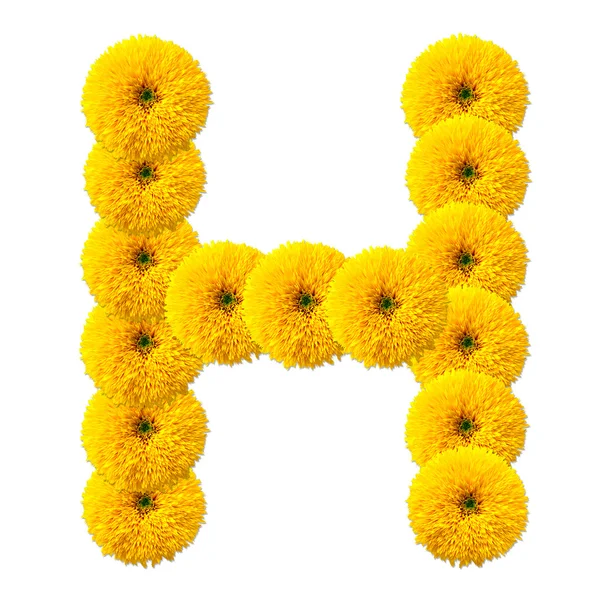 Letter van het alfabet van bloemen — Stockfoto