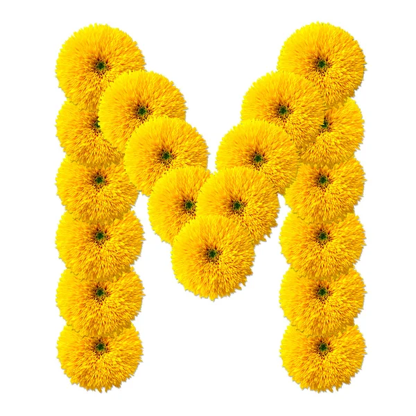 Letra do alfabeto das flores — Fotografia de Stock