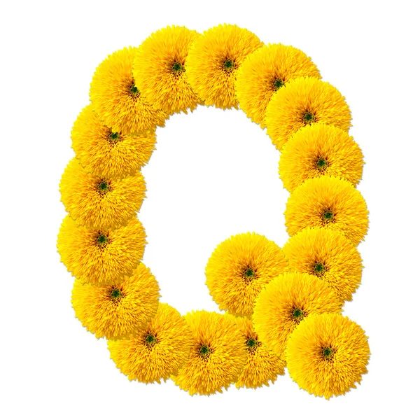 Buchstabe des Alphabets der Blumen — Stockfoto