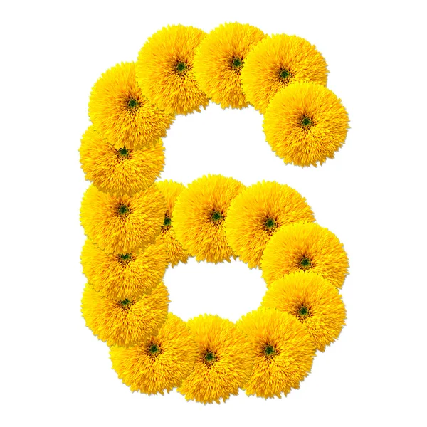 Decimal cipher blommor — Stockfoto