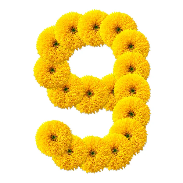 Desítkové šifra květin — Stock fotografie