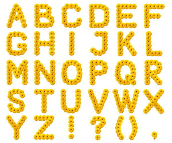 Letters of the alphabet from yellow flowers — Stock Photo, Image