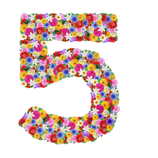 5 počet různých květin — Stock fotografie