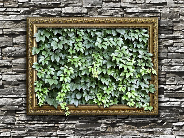 Marco en la pared de piedra con hojas verdes en el interior — Foto de Stock
