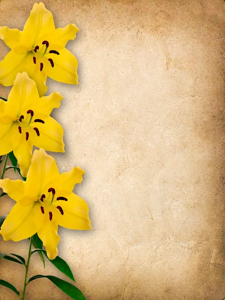 Винтажная карточка для поздравления с желтыми лилиями — стоковое фото