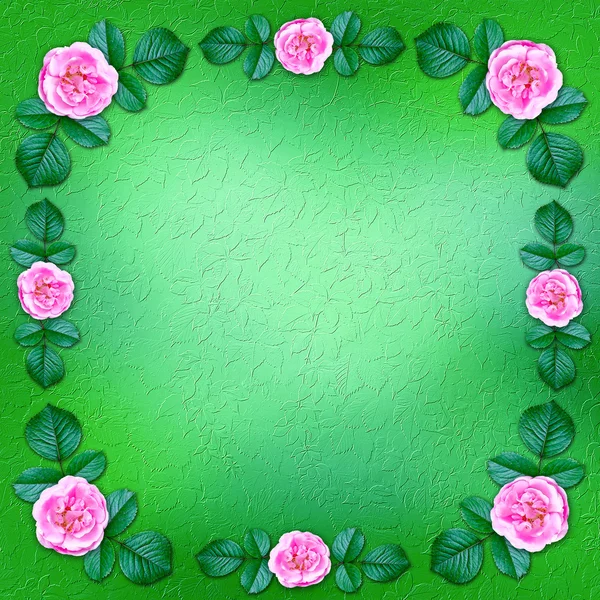 Green floral background framed by blooming roses — Stock Photo, Image