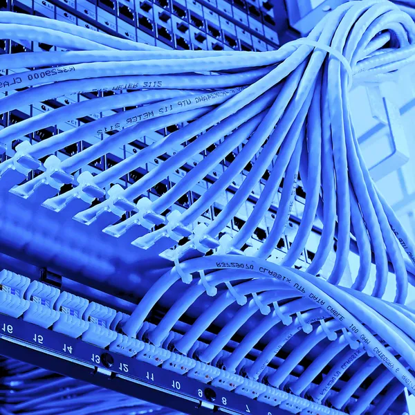 schakelkast met patch panel van de 6de categorie