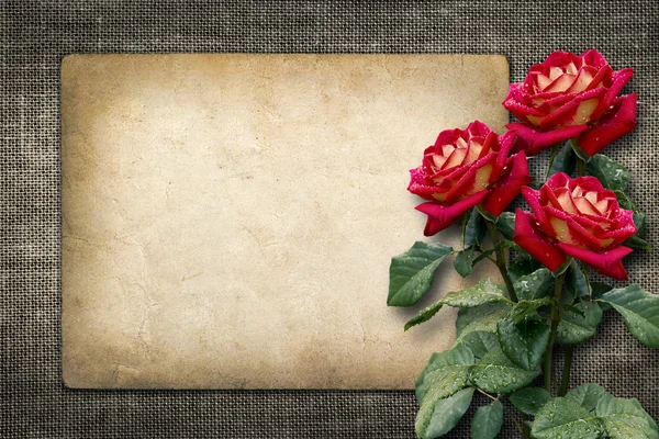 Kaart voor uitnodiging of heilwens met rode rozen — Stockfoto