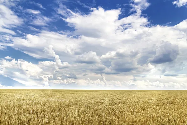Weergave van landbouwgronden — Stockfoto