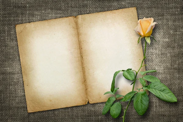 Kaart voor uitnodiging of heilwens met gele roos — Stockfoto