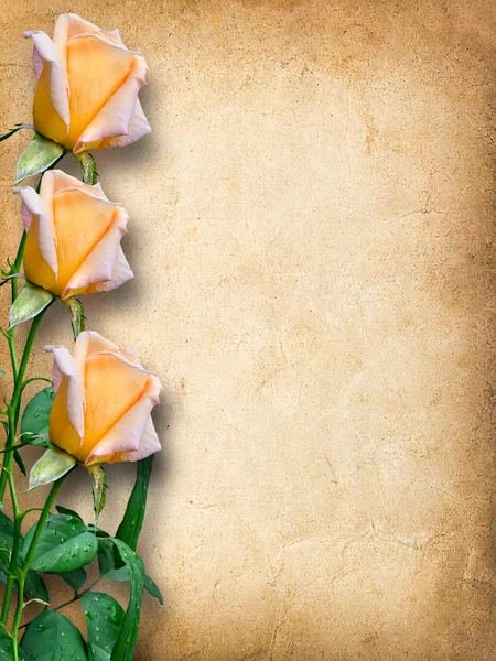Cartão vintage para parabéns com rosas amarelas — Fotografia de Stock