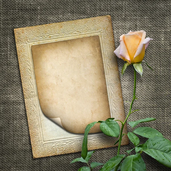 Card for invitation or congratulation with yellow rose — Stock Photo, Image