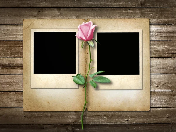 Polaroid-style photo on the wooden background with pink rose — Stock Photo, Image