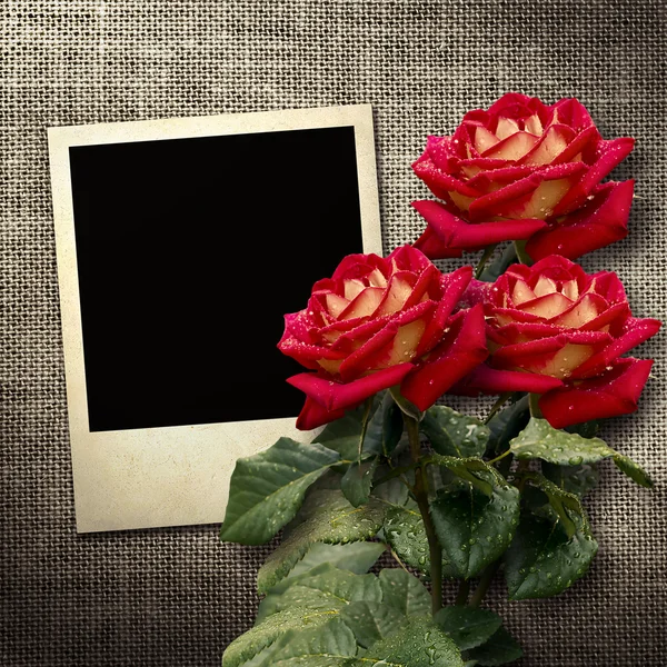 Foto de estilo polaroid sobre fondo de lino con rosas rojas —  Fotos de Stock