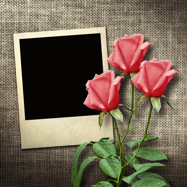 Polaroid-style photo on a linen background with red roses — Stock Photo, Image