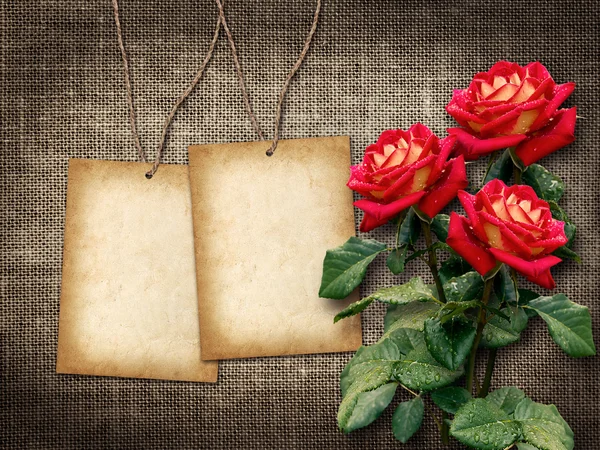 Card for invitation or congratulation with red roses — Stock Photo, Image