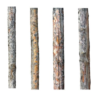set of four timber isolated on white background clipart