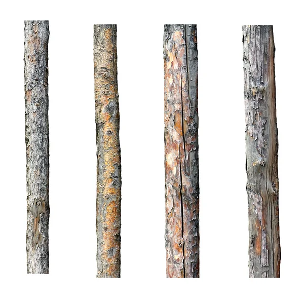Набор из четырех древесины изолированы на белом фоне — стоковое фото