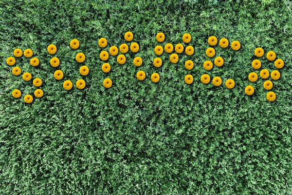 Inscription of yellow flowers on a background of grass — Stock Photo, Image