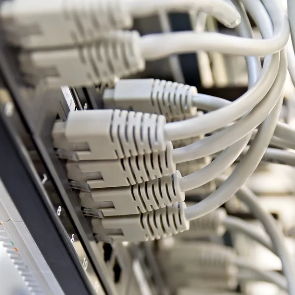 Patch Panel server rack with gray cords — Stock Photo, Image
