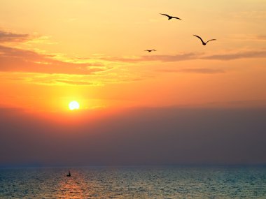 Denizde martılar ön planda olan Sunset