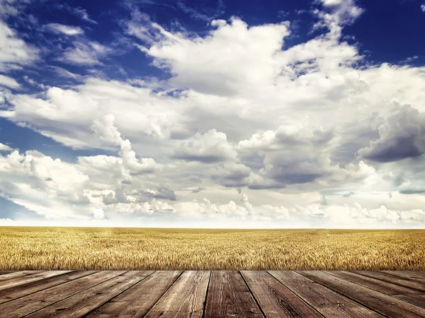 Plancher de bois et champs agricoles — Photo