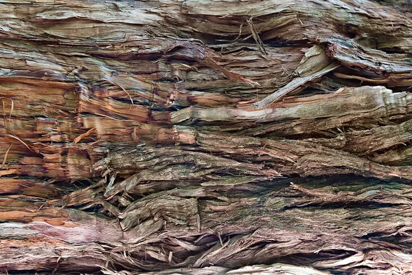 Крупный План Старого Сломанного Древесного Волокна — стоковое фото