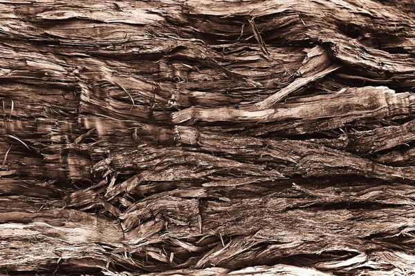 古い壊れた木材繊維の閉鎖 — ストック写真