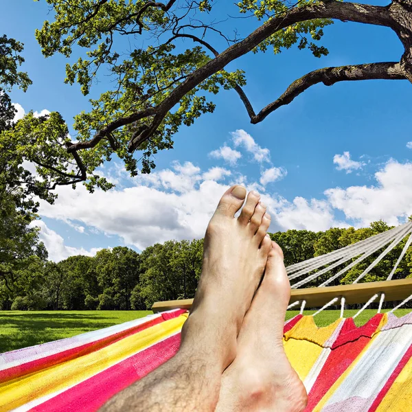 Piedi Amaca Contro Radura Una Foresta — Foto Stock