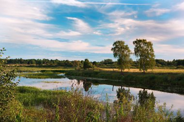 Sahilde iki huş ağacı olan bir nehir.