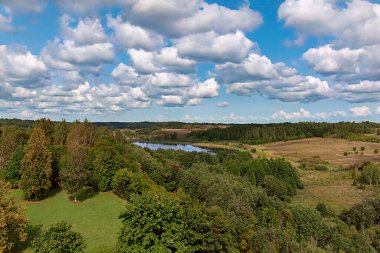 Çam ormanıyla çevrili bir orman gölü manzarası