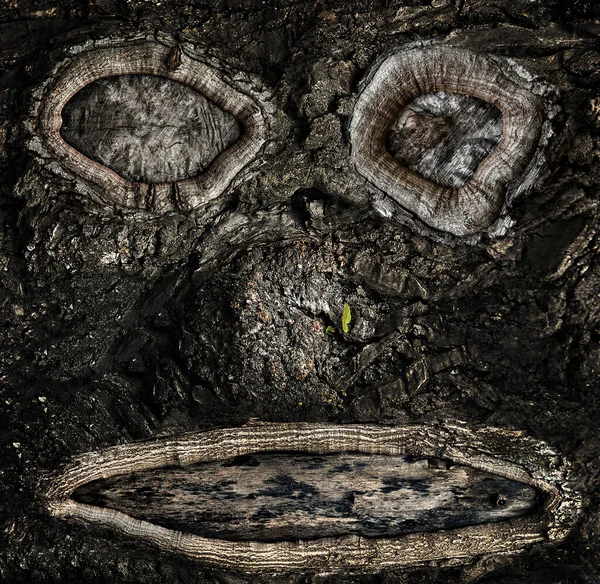 树皮上以脸的形式出现在树皮上 — 图库照片