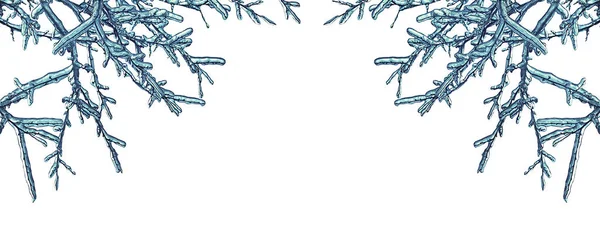 Рамка Ледяных Ветвей Дерева Изолированы Белом Фоне — стоковое фото