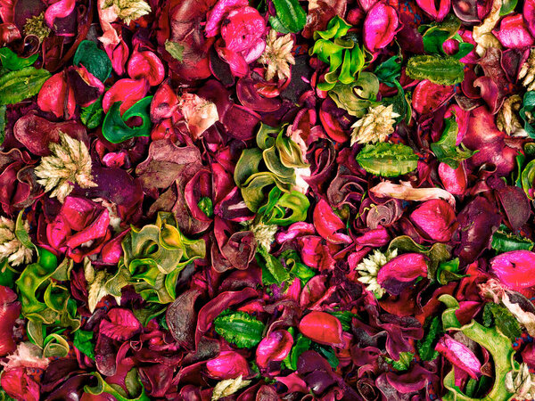 Богатая текстура яркого красочного ковра из цветов
