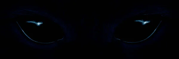 Δασύτριχος Τέρας Closeup Μαύρα Μάτια — Φωτογραφία Αρχείου