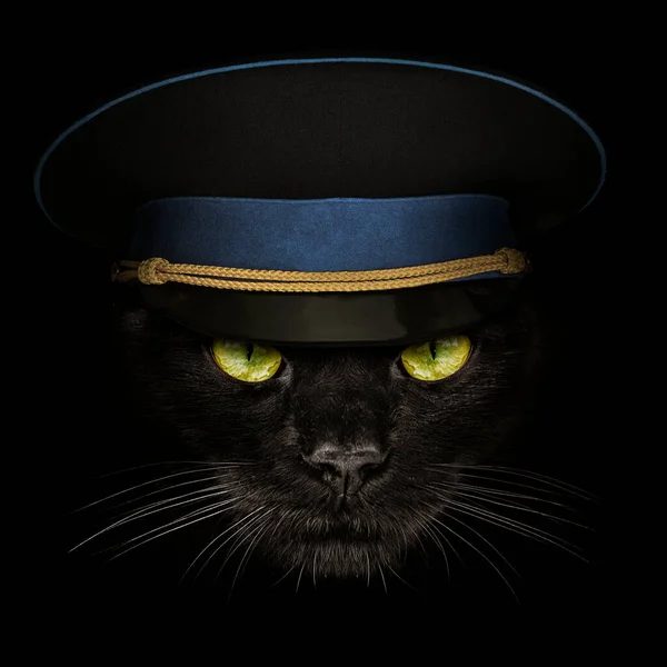 Dark Muzzle Black Cat Military Cap Close — Stock Photo, Image