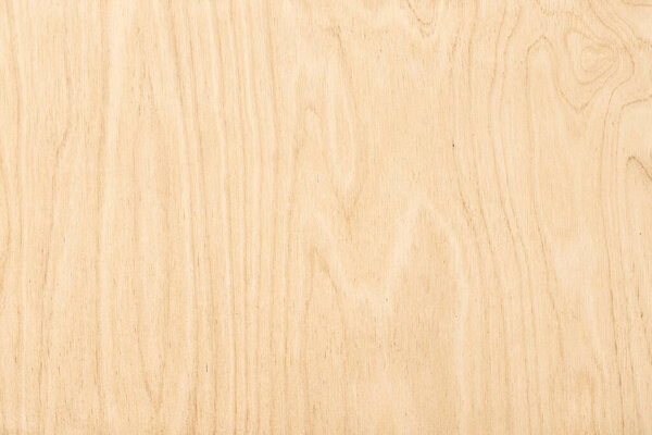 wood texture, top view. light wood background. natural pattern on a wooden surface