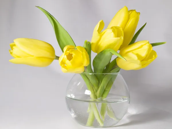 Tulips in a vase — Stock Photo, Image