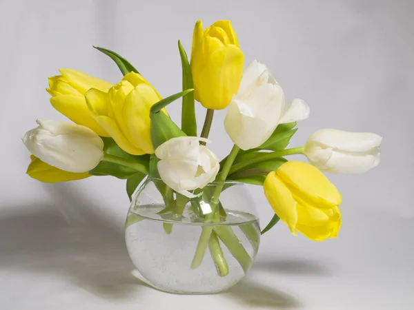 Tulips in a vase — Stock Photo, Image