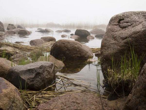 霧と沿岸の岩 — ストック写真