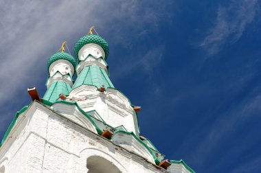 erkek kutsal teslis Manastırı svirsky.