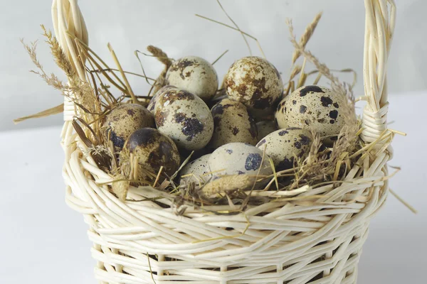 Quail eggs in a basket — Stock Photo, Image