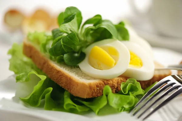 yumurta haşlanmış tavuk ve salata sandviç