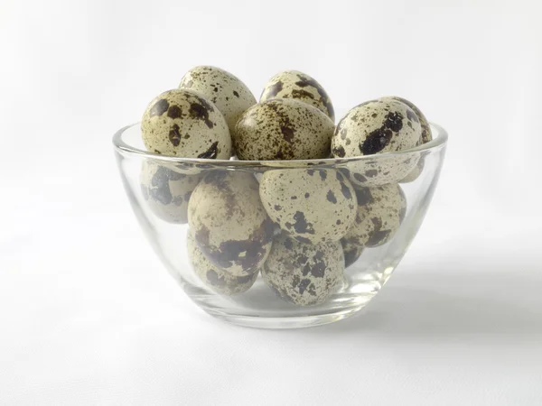 Fresh quail egg — Stock Photo, Image