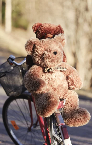 Spielzeug auf dem Fahrrad im Park — Stockfoto