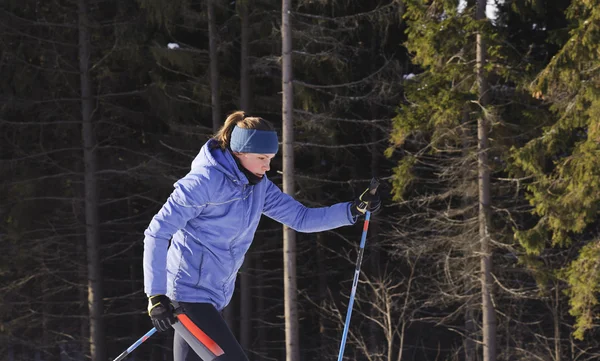 Parkta bir yürüyüş üzerinde kayakçı — Stok fotoğraf