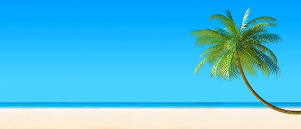 3D візуалізація тропічної пляжної панорами з пальмою — стокове фото