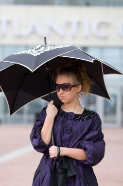 la mariposa en una flor aster